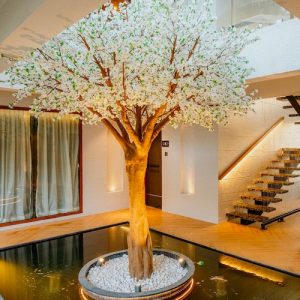casa mae iconic tree